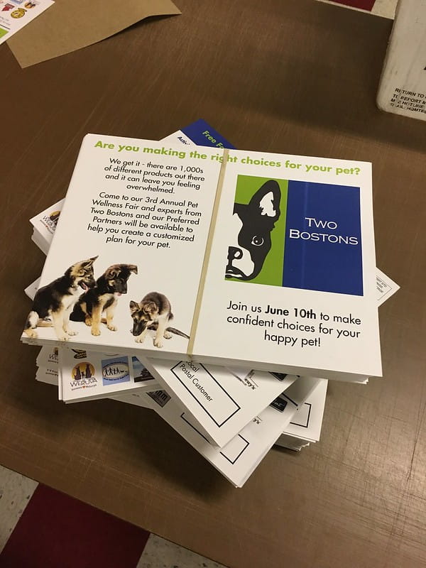 Direct Mailer for pet food